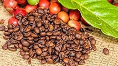 World robusta coffee prices rise to 28-year high on supply shortage concerns