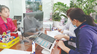 Bắt nhịp công việc ngay đầu năm Giáp Thìn