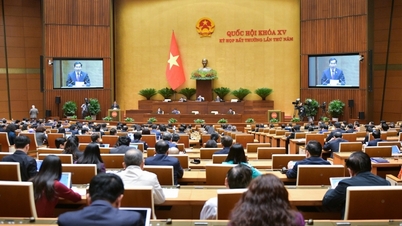 Soumettre à l'Assemblée nationale l'autorisation d'utiliser 63 725 milliards de VND du Plan d'investissement public à moyen terme