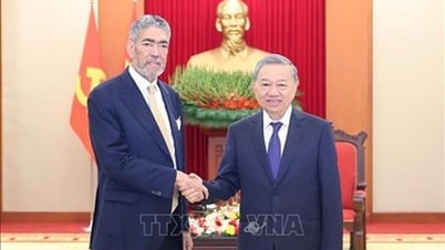 Tổng Bí thư Tô Lâm tiếp Tổng Bí thư Đảng Phong trào Cánh tả Thống nhất Cộng hòa Dominica