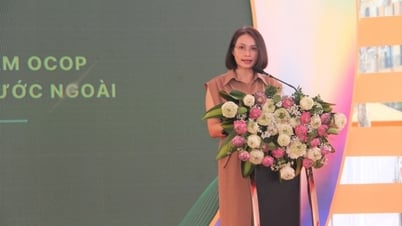 កិច្ចខិតខំប្រឹងប្រែងនាំយកផលិតផល OCOP ទៅកាន់ទីផ្សារអន្តរជាតិ