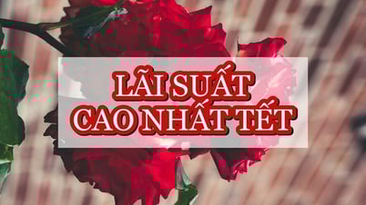 Tết gửi tiết kiệm ở đâu lãi suất cao nhất