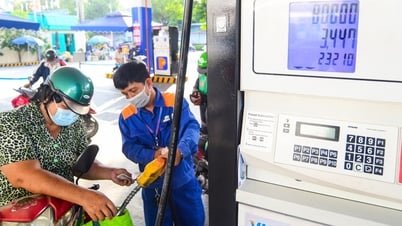 Domestic gasoline prices increase sharply