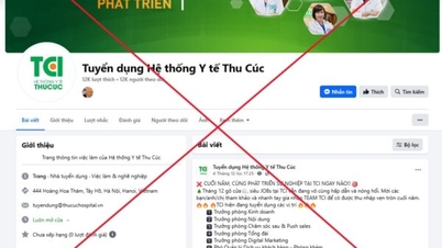 THU CUC TCI HEALTHCARE SYSTEM의 가짜 채용 정보에 대한 경고