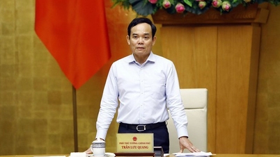 Khẩn trương thành lập Kiểm ngư địa phương; củng cố hồ sơ, truy tố các đối tượng vi phạm IUU