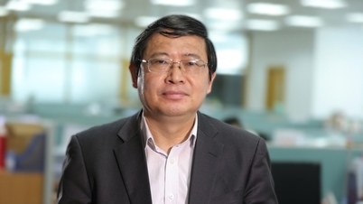 Editor en jefe del libro de texto vietnamita