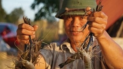 Bỉm Sơn phát triển nông nghiệp với hướng đi mới