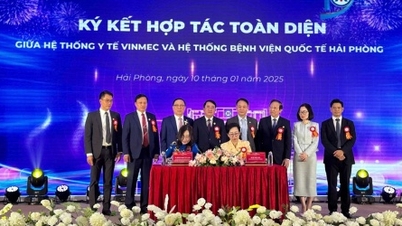 ប្រព័ន្ធថែទាំសុខភាព Vinmec និងប្រព័ន្ធមន្ទីរពេទ្យអន្តរជាតិ Hai Phong សហការយ៉ាងទូលំទូលាយ