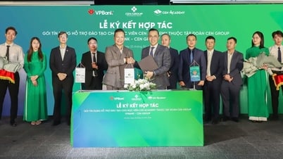 Is Japan still an attractive market for Vietnamese people?