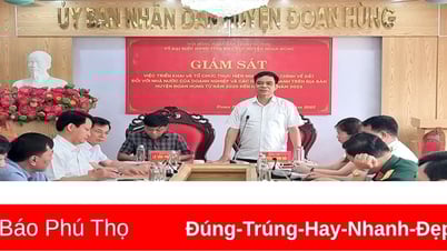 Giám sát thực hiện nghĩa vụ tài chính về đất tại huyện Đoan Hùng