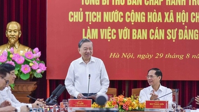 Ngoại giao cần lan tỏa phiên bản Việt Nam độc lập, phồn vinh