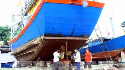 Quang Binh tightens management of "3 no" fishing boats