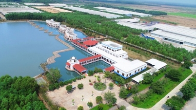 Tay Ninh ផ្តោតសំខាន់លើវិស័យកសិកម្មជាកម្លាំងមួយក្នុងការទាក់ទាញការវិនិយោគ។