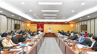 민족위원회, 2025년 업무 배치