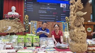 ស្រុក Quoc Oai វាយតំលៃ និងចាត់ថ្នាក់ផលិតផល OCOP ចំនួន ៤១