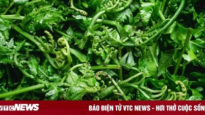 茂みの端に生えるが貴重な栄養素がたっぷりの野生植物。