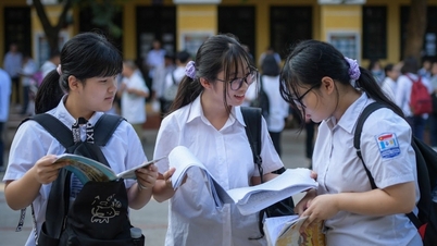 Học ở đâu khi cửa vào trường công ngày càng hẹp