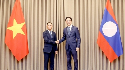 La relación especial entre Vietnam y Laos se ha desarrollado de forma sólida y eficaz en numerosos ámbitos.