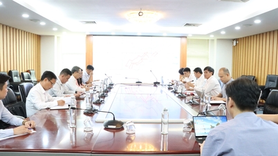 Bộ TN&MT làm việc với UBND tỉnh Bình Thuận về khu vực dự trữ khoáng sản quốc gia