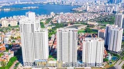 HoREA mong ngân hàng không lấn sâu vào kinh doanh bất động sản