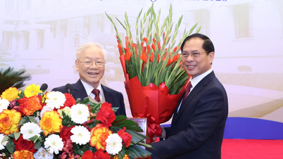 តួលេខគួរឱ្យចាប់អារម្មណ៍នៃវិស័យការទូតក្នុងឆ្នាំ 2023
