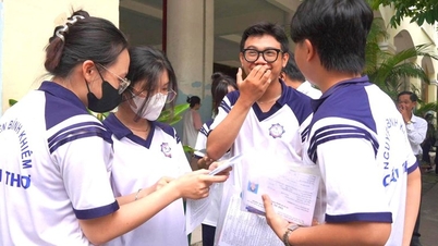 Trường Đại học Nam Cần Thơ thông báo xét tuyển bổ sung