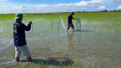 ហេតុអ្វីបានជាសហករណ៍ Cho Vam នៅ An Giang ត្រូវបានបោះឆ្នោតជាសហករណ៍ជាតិធម្មតានៅឆ្នាំ 2024?