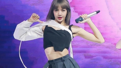 ការពិតគឺថា Lisa បានបដិសេធមិនបន្តកិច្ចសន្យារបស់នាងដែលមានតម្លៃជាង 900 ពាន់លានដុងជាមួយ YG ។