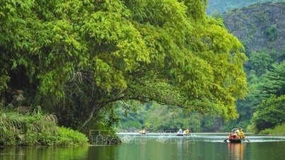 Trang An World Cultural and Natural Heritage (Ninh Binh): "Green dot" on the tourist map