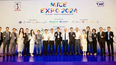 Connecting businesses to promote conference tourism development