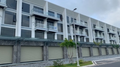Công ty D2D loay hoay tìm động lực mới