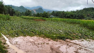 Lào Cai thiệt hại hơn 2 tỷ đồng do thiên tai