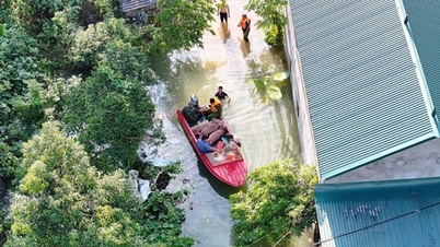 Heartbreaking images of flooded Cao Bang, water still rising, houses only have roofs left