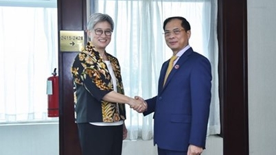 AMM-56 Conference: Foreign Minister Bui Thanh Son meets bilaterally with his Indian and Australian counterparts