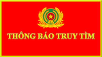 ប៉ូលីសក្រុង Pleiku កំពុងស្វែងរកមនុស្សដែលពាក់ព័ន្ធនឹងគ្រោះថ្នាក់ចរាចរណ៍នៅផ្លូវ Phan Dinh Phung ។