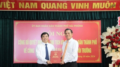 Ông Dương Đình Ổn giữ chức Giám đốc Sở Tài nguyên và Môi trường