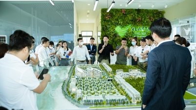 Chọn bất động sản pháp lý minh bạch để lưu trú dòng tiền