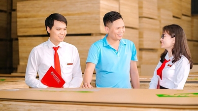 36 ឆ្នាំនៃការគូសបញ្ជាក់ "សសរស្តម្ភ" នៃសេដ្ឋកិច្ច