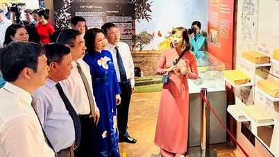 Không gian trưng bày chuyên đề “Hoàng thành Thăng Long - Hà Nội, di sản cho mai sau”