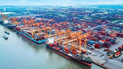 What makes Hai Phong port so profitable?