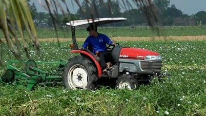 Cuộc thi Lan tỏa năng lượng tích cực 2024: Sáng chế hữu ích của 'kỹ sư chân đất'