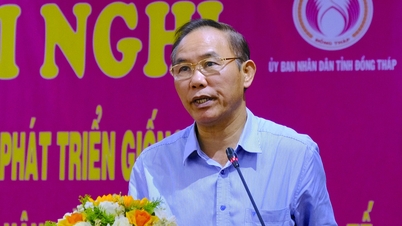 Chưa có cơ sở sản xuất cá tra giống được cấp giấy an toàn dịch bệnh