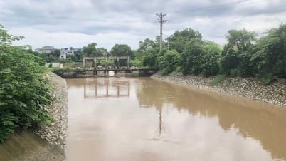ទីក្រុងហាណូយ ជួសជុលប្រឡាយលូ ដើម្បីការពារទឹកជំនន់ជិត ៤០០ហិកតា នៅស្រុកថាច់ថាច