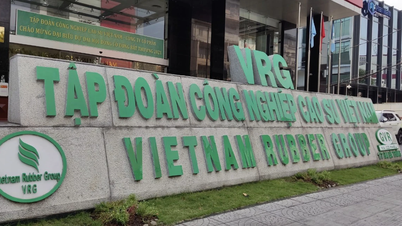Vietnam Rubber Industry Group earns nearly 1,121 billion VND in profit