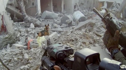 Lực lượng quân khuyển lợi hại của Israel ở Dải Gaza