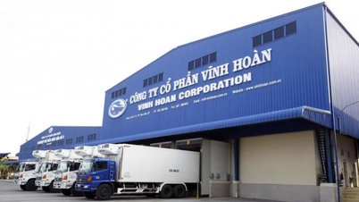 Vĩnh Hoàn (VHC) lỗ chứng khoán 84 tỷ vẫn bỏ 180 tỷ cho công ty con