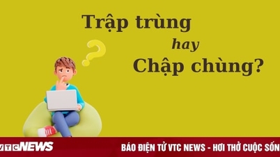 Nhiều người tranh cãi: 'Trập trùng' hay 'chập chùng'?