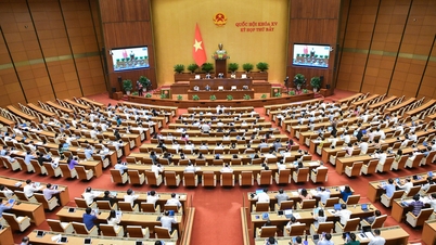Continuación de la 7ª Sesión, 15ª Asamblea Nacional