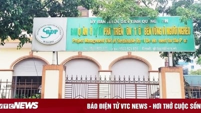 Chủ tịch tỉnh Quảng Bình ký quyết định kỷ luật bà Lê Thị Vân Hồng