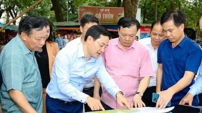 Die Förderung des alten Dorfrelikts von Duong Lam sichert 3 Ziele